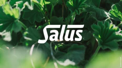 Salus mit neuem Markenauftritt